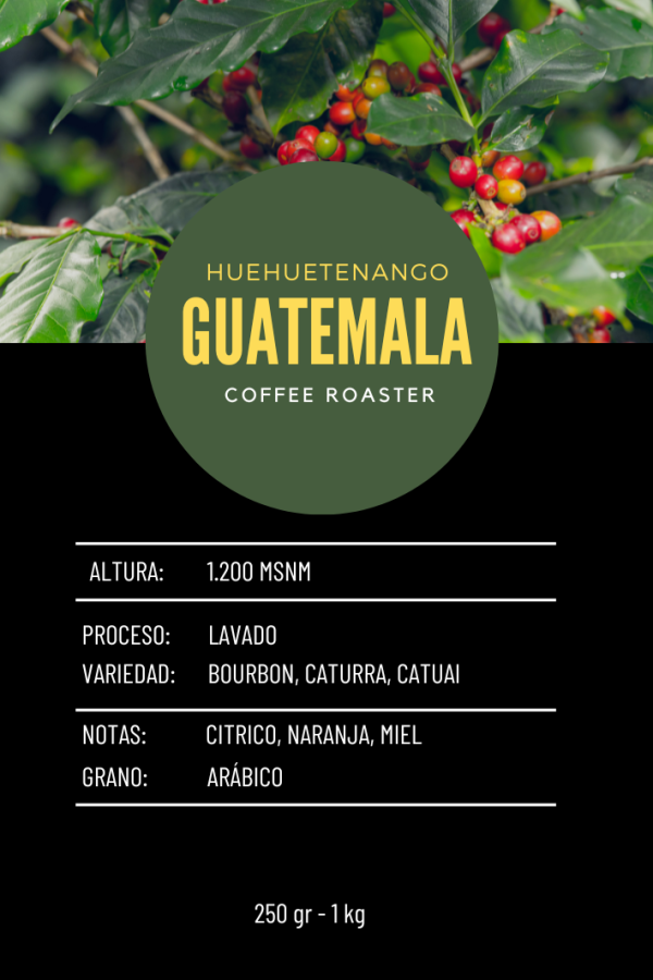 Café Guatemala - Huehuetenango 1Kg. - Imagen 2